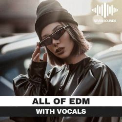 What are words弹Bass - Lee Zenky (TANG唐 Vina mix)